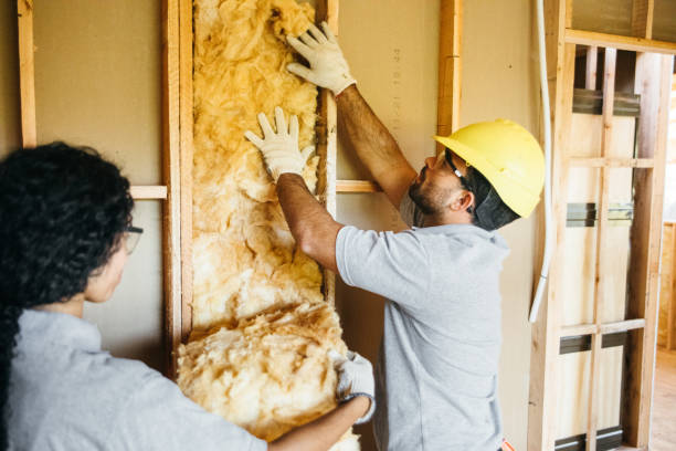 Insulation Contractors for Homes in Waynesboro, MS